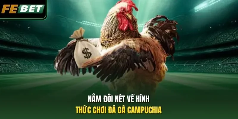 Đá Gà Campuchia - Thưởng Thức Các Trận Đọ Tài Kê Đỉnh Cao Nắm đôi nét về hình thức chơi đá gà Campuchia